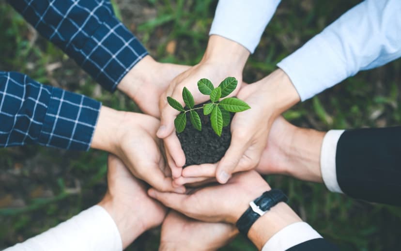 إدارة سلامة البيئة